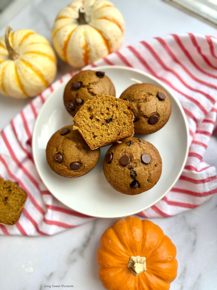 Moist sourdough discard pumpkin muffins with chocolate chips, fluffy, spiced, and perfect for using up starter discard this fall.