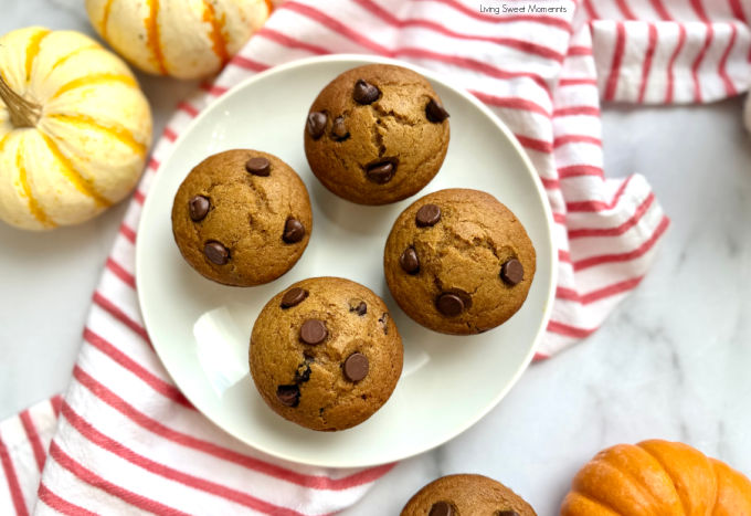 Moist sourdough discard pumpkin muffins with chocolate chips, fluffy, spiced, and perfect for using up starter discard this fall.