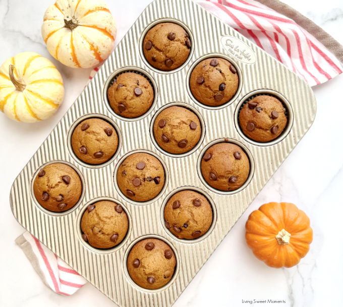 Moist sourdough discard pumpkin muffins with chocolate chips, fluffy, spiced, and perfect for using up starter discard this fall.