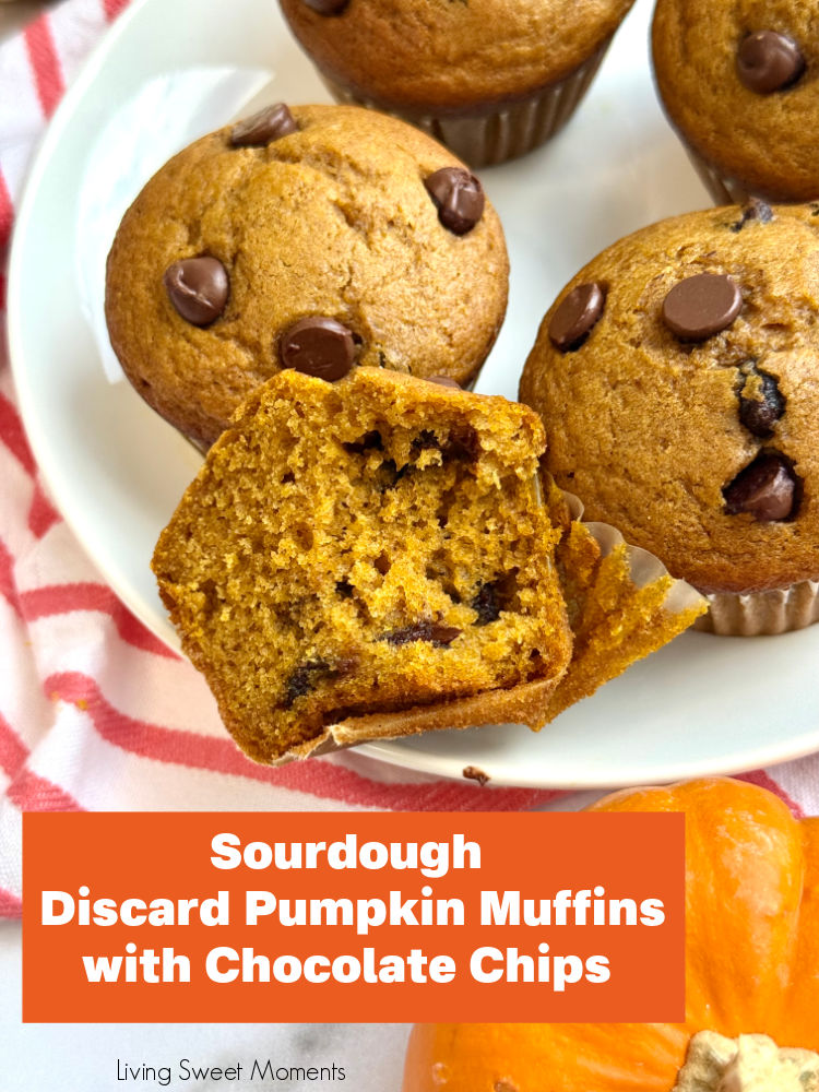 Moist sourdough discard pumpkin muffins with chocolate chips, fluffy, spiced, and perfect for using up starter discard this fall.