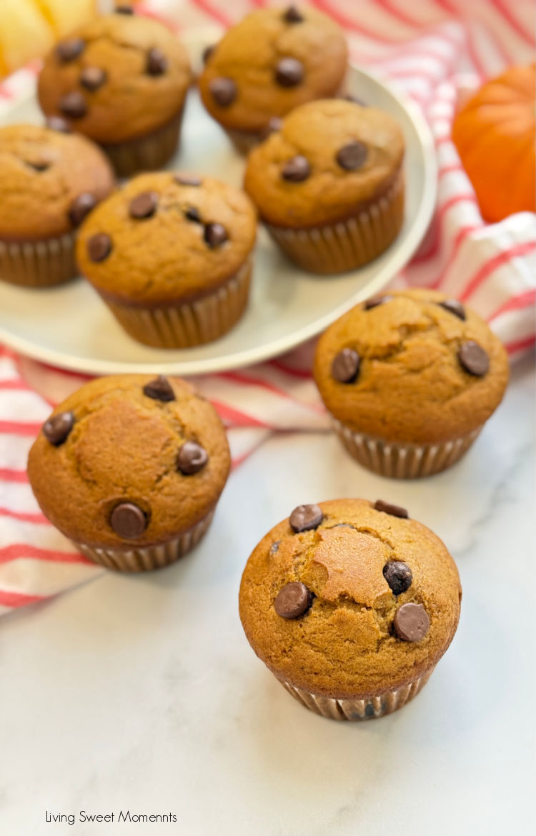 Moist sourdough discard pumpkin muffins with chocolate chips, fluffy, spiced, and perfect for using up starter discard this fall.