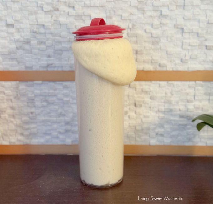 Learn how to make soft sourdough panettone with citrus paste and almond glassa. A complete, easy guide to perfect Italian holiday bread.