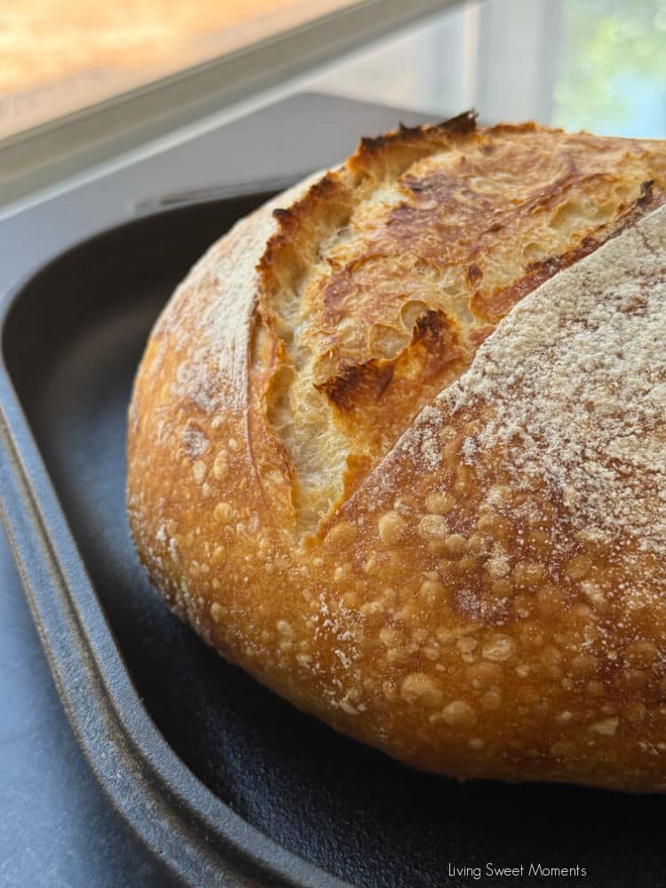 Beginner sourdough bread recipe with video guide, easy timeline, salt tips, scoring & Dutch oven. Same-day mild or overnight deeper flavor.