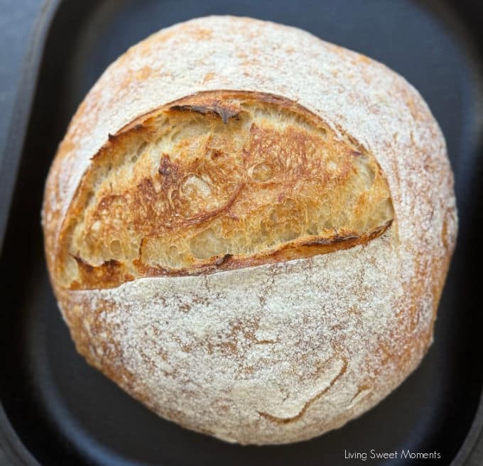 Beginner sourdough bread recipe with video guide, easy timeline, salt tips, scoring & Dutch oven. Same-day mild or overnight deeper flavor.