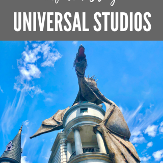 Here's a few incredible tips you Know Before Visiting Universal Studios in Orlando Florida. 2 amazing theme parks with thrill rides for all ages.