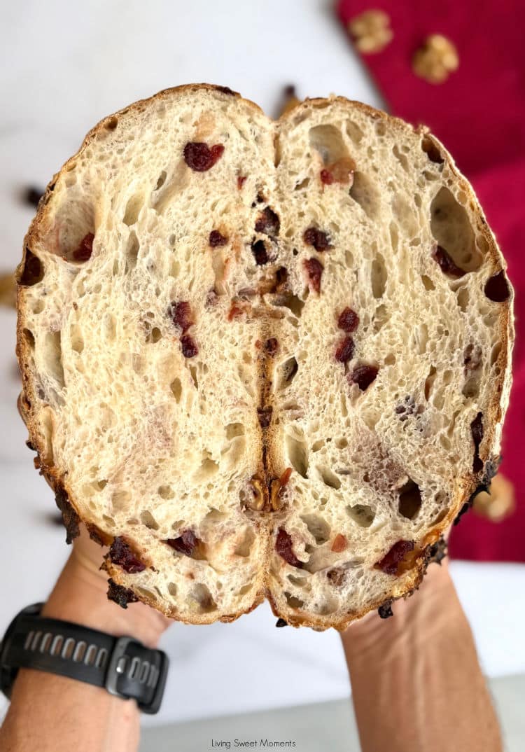 Cranberry Walnut Sourdough Bread—70% hydration, soft crumb, tart cranberries & toasted walnuts. The perfect next step after your beginner loaf