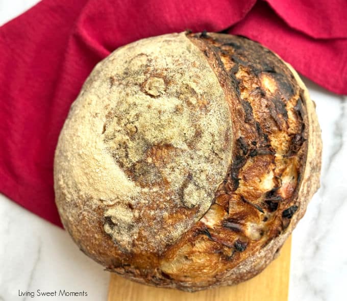 Cranberry Walnut Sourdough Bread—70% hydration, soft crumb, tart cranberries & toasted walnuts. The perfect next step after your beginner loaf