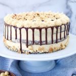 This decadent Crunchy Chocolate Hazelnut Cake has 3 layers of chocolate cake filled with creamy chocolate hazelnut ganache and frosted with praline cream