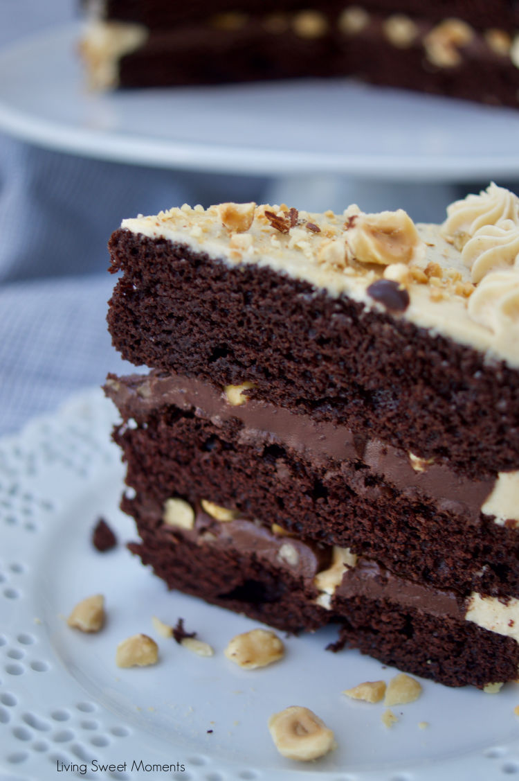 This decadent Crunchy Chocolate Hazelnut Cake has 3 layers of chocolate cake filled with creamy chocolate hazelnut ganache and frosted with praline cream