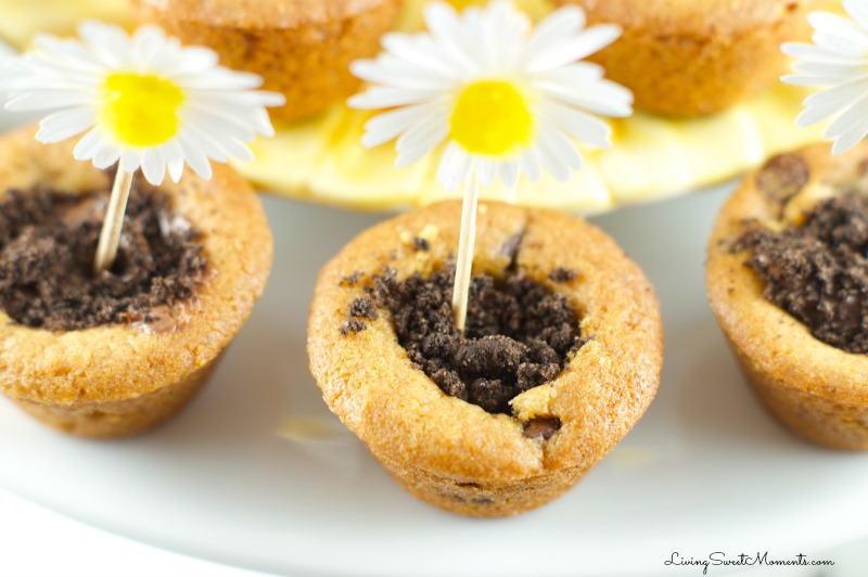Flower Pot Cookies - Chocolate Chip Cookie cups filled with hazelnut chocolate and topped with crushed chocolate cookies. Welcome Spring with yummy cookies.