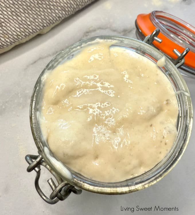 Active sourdough starter in a jar with visible bubbles