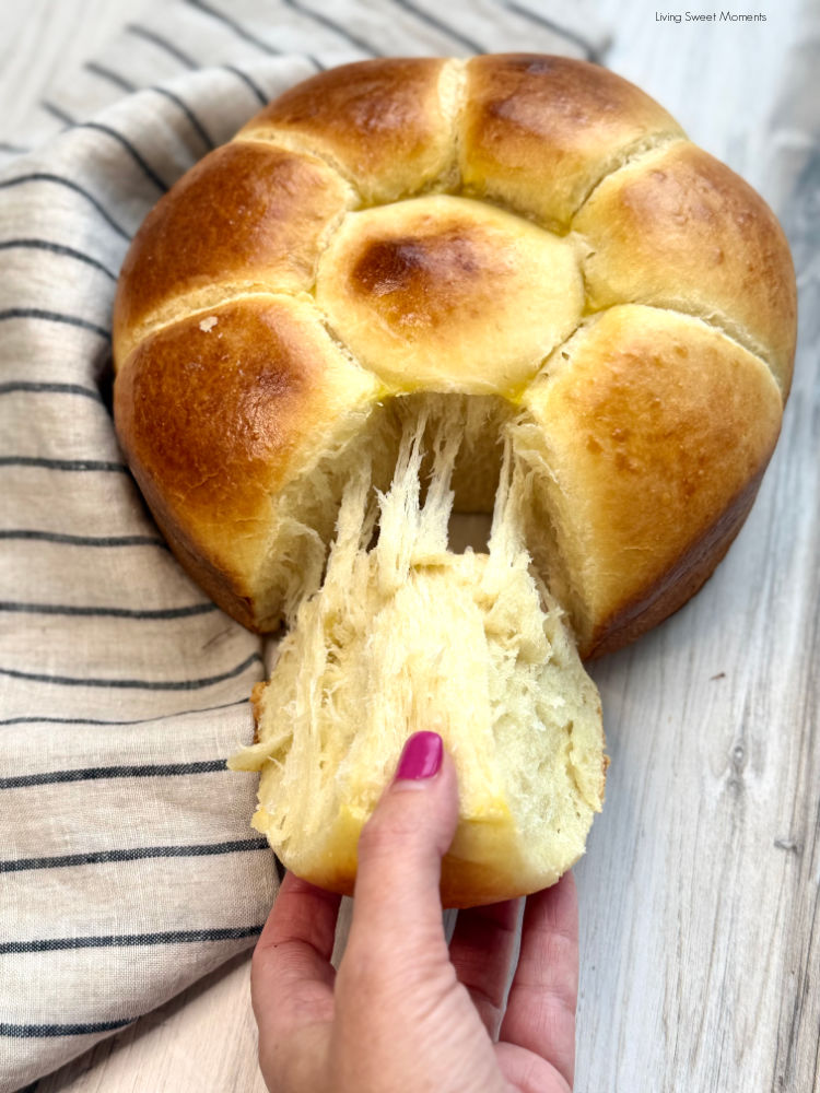 Soft, buttery sourdough brioche rolls with a pillowy crumb. Learn easy methods, timeline, and tips for perfect pull-apart or sheet-pan rolls.