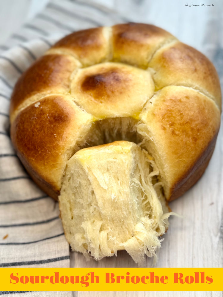 Soft, buttery sourdough brioche rolls with a pillowy crumb. Learn easy methods, timeline, and tips for perfect pull-apart or sheet-pan rolls.