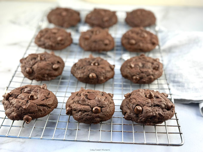 These fudgy sourdough chocolate espresso cookies are rich, chewy, and deeply chocolatey, with zero sourness or coffee taste!
